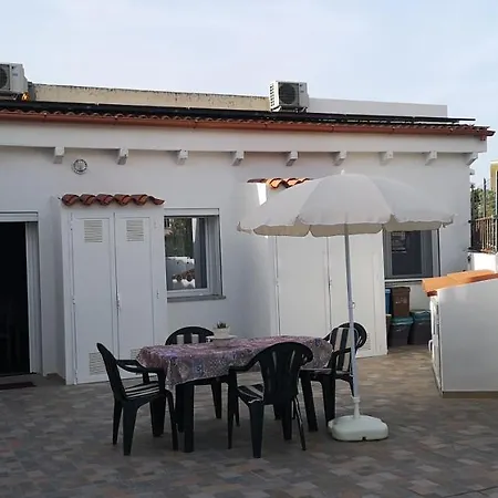 Gali Eco-apartment דירה אולביה